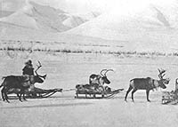 Reindeer mail, 1900s
