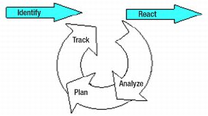 Figure 1.9 Risk Management Process