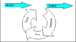 risk management process