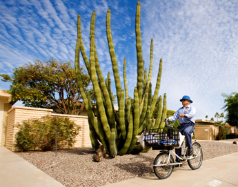 Bicycle route