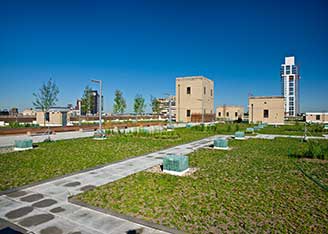 Green roof - Morgan facility, New York City