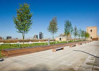 Green roof - Morgan facility, New York City