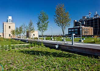 Green roof - Morgan facility, New York City