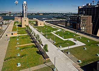 Green roof - Morgan facility, New York City