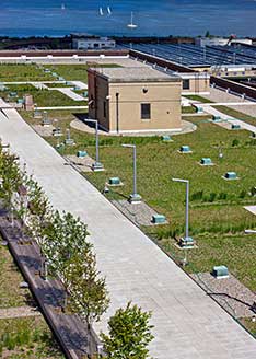 Green roof - Morgan facility, New York City