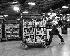 image of employee at a plant