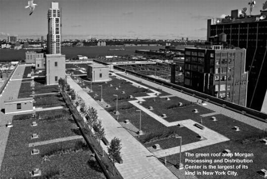 image of the green roof in new york city.